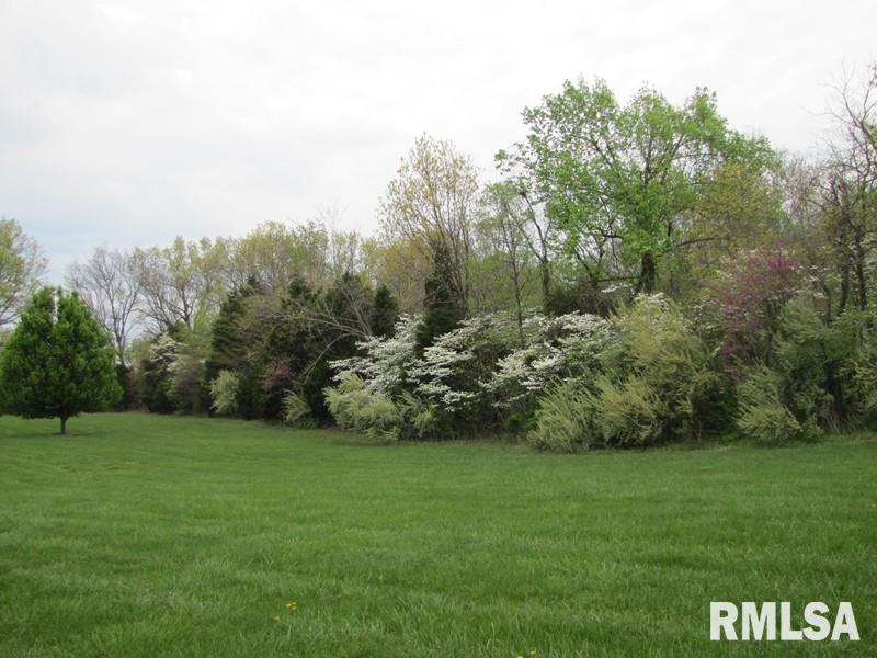 Tbd Tbd Tbd Rowan Road Makanda, IL 62958 - Photo 3 of 3
