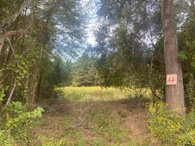 $18,500 | Lot 3 Cr 3502 Cuney Tx 75759, Jacksonville, TX 75766