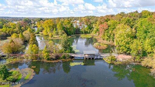 3376 Wrenfield Way North Augusta, SC 29841 - Photo 8 of 48 download