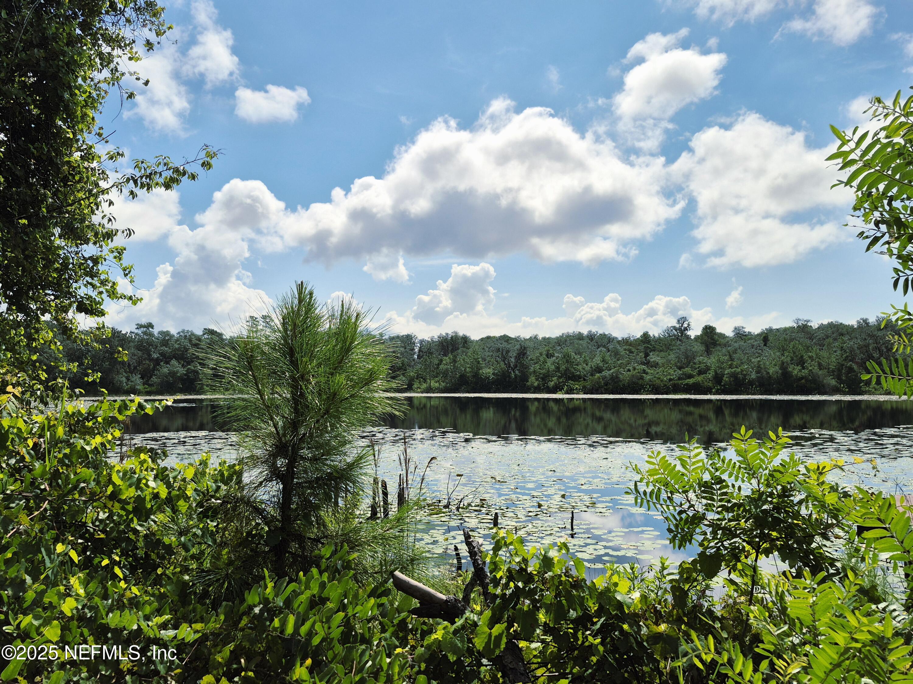 282 Byrd Road Crescent City, FL 32112 - Photo 1 of 24 a view of lake