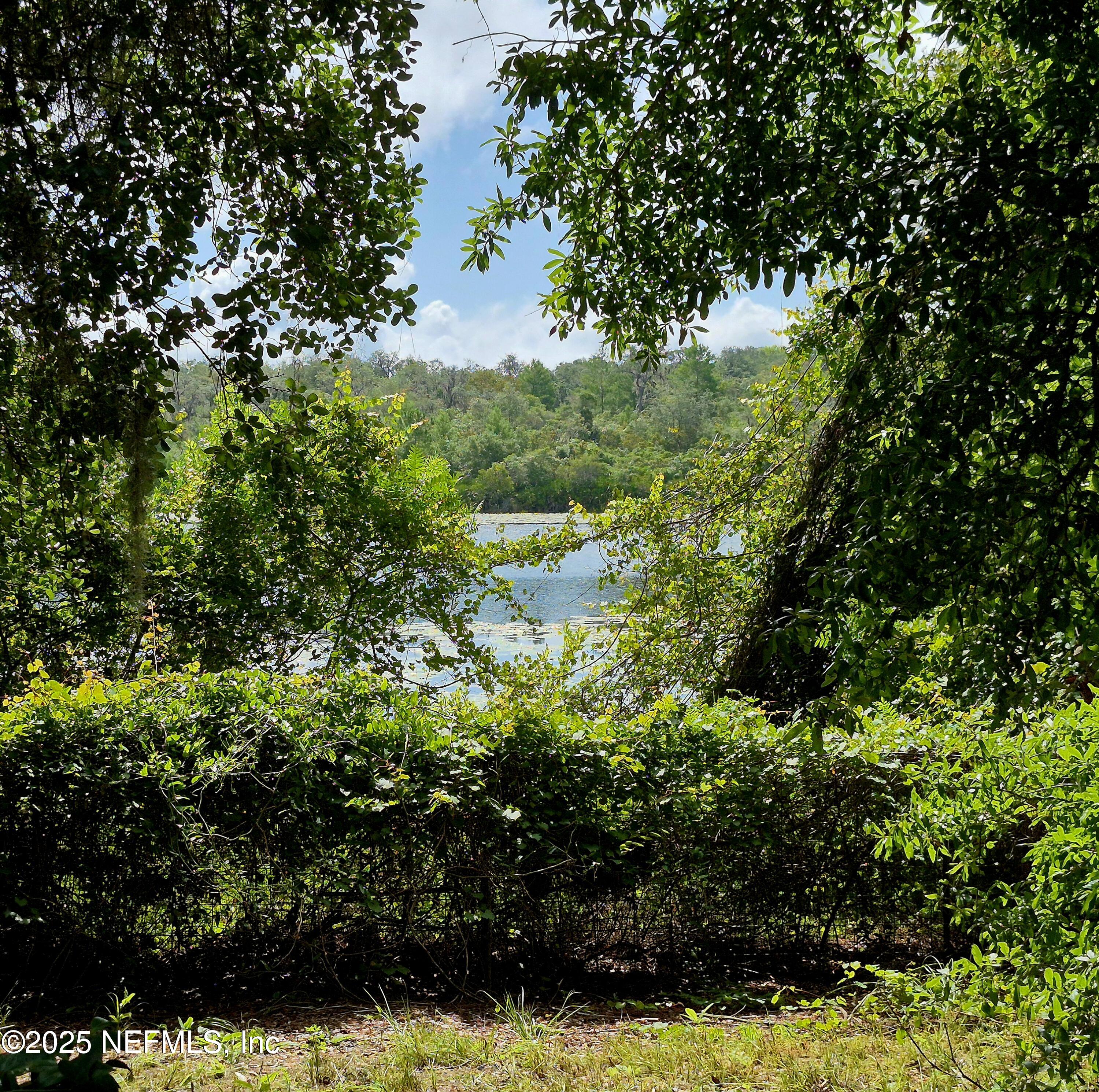 282 Byrd Road Crescent City, FL 32112 - Photo 21 of 24 a view of a garden