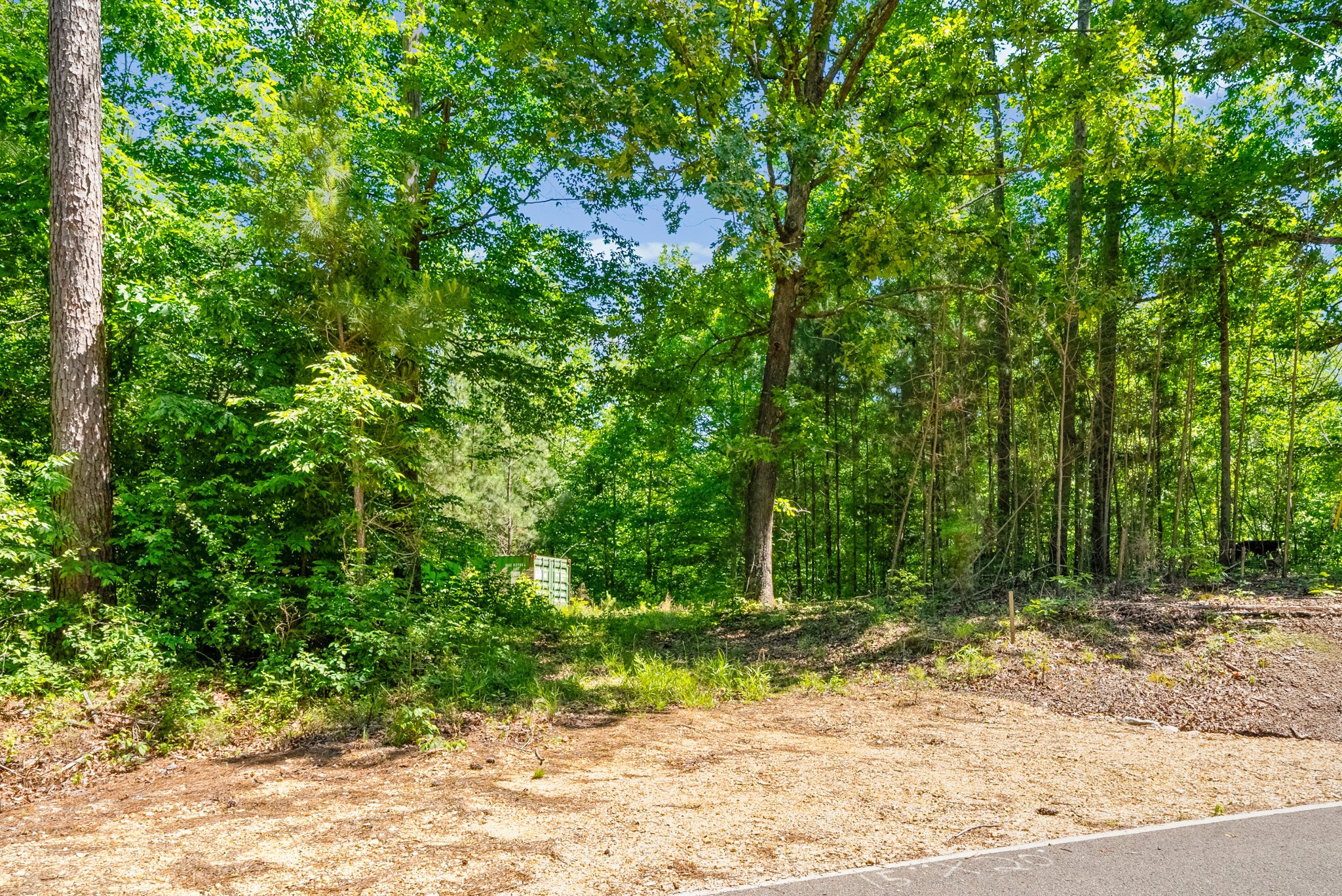 1530 Spring Hill Road Paris, TN 38242 - Photo 12 of 20 Gallery Image 12