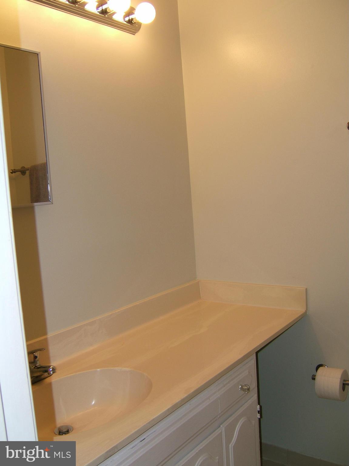 10013 Marshall Pond Road Burke, VA 22015 - Photo 19 of 28 Bath (Master)