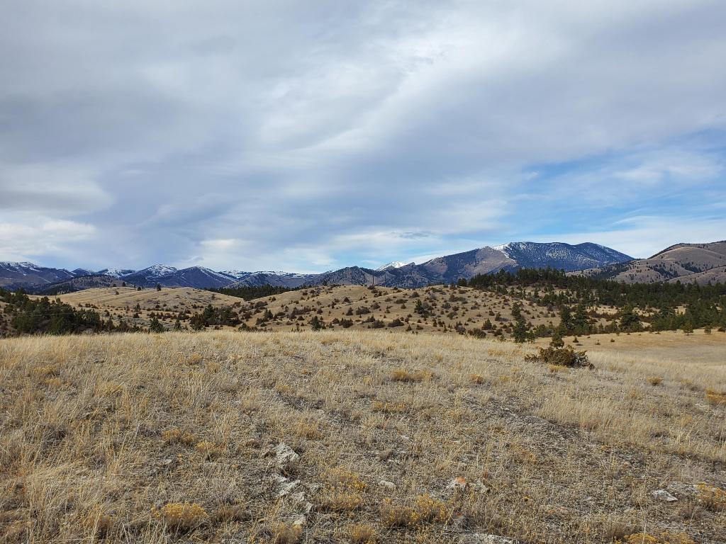 Tbd Favorite Gulch Road Helena, MT 59602 - Photo 1 of 1 Gallery Image 1