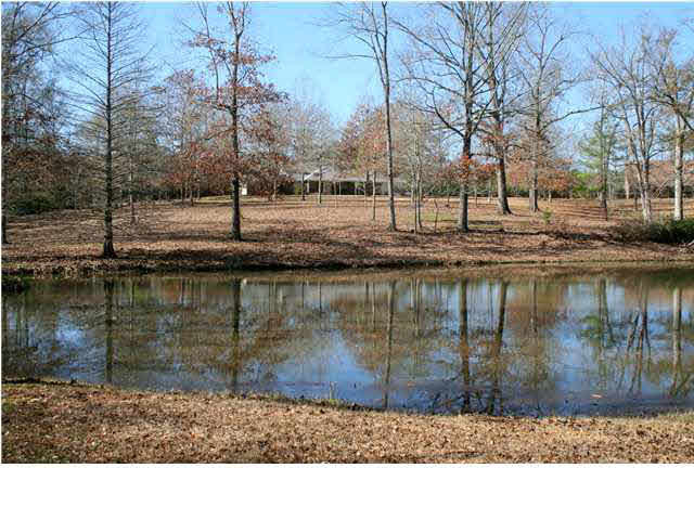 1369 Timberidge Road Terry, MS 39170 - Photo 1 of 1 Front View