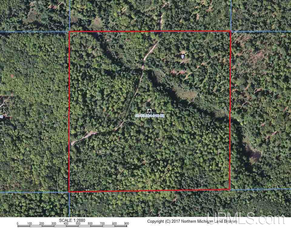 40-acres 40-acres Co Road Ishpeming, MI 49849 - Photo 35 of 36
