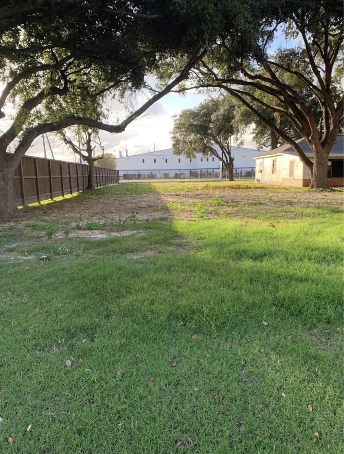 7702 Fairview Street Houston, TX 77041 - Photo 2 of 10 a view of yard with green space and trees
