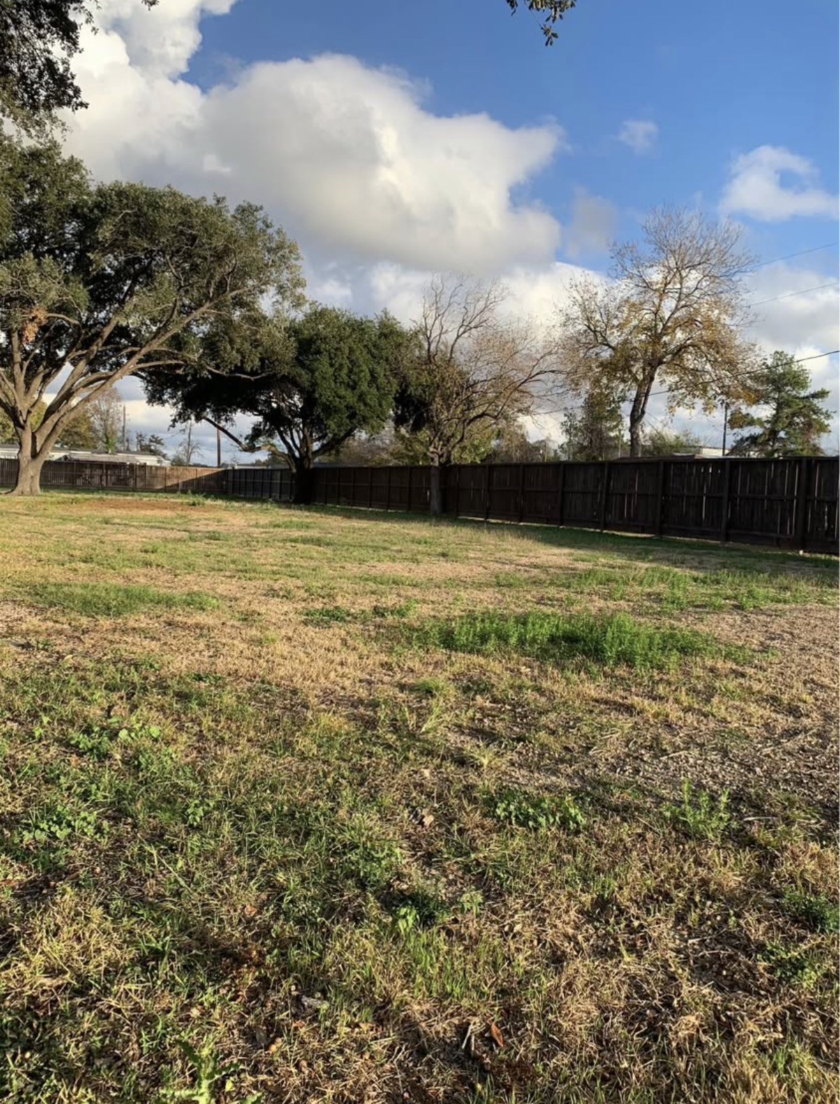 7702 Fairview Street Houston, TX 77041 - Photo 3 of 10 a view of a swimming pool with an outdoor seating and a yard
