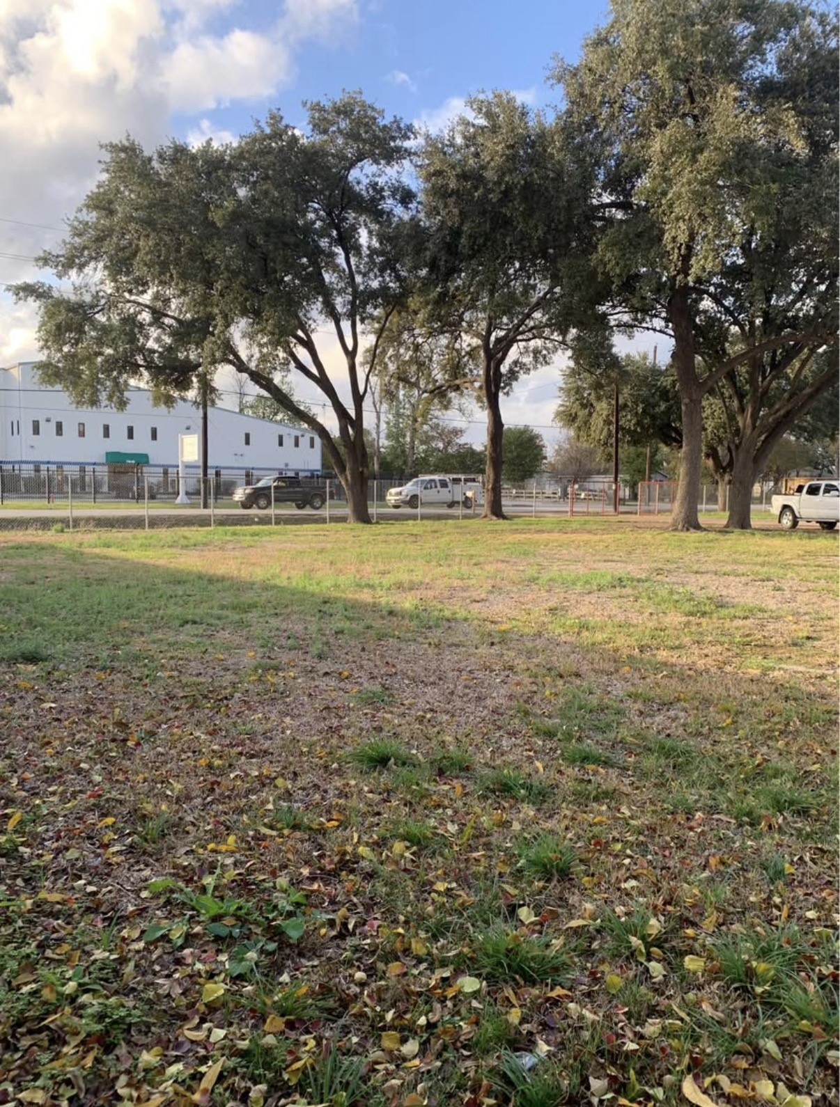 7702 Fairview Street Houston, TX 77041 - Photo 4 of 10 a view of big yard and trees