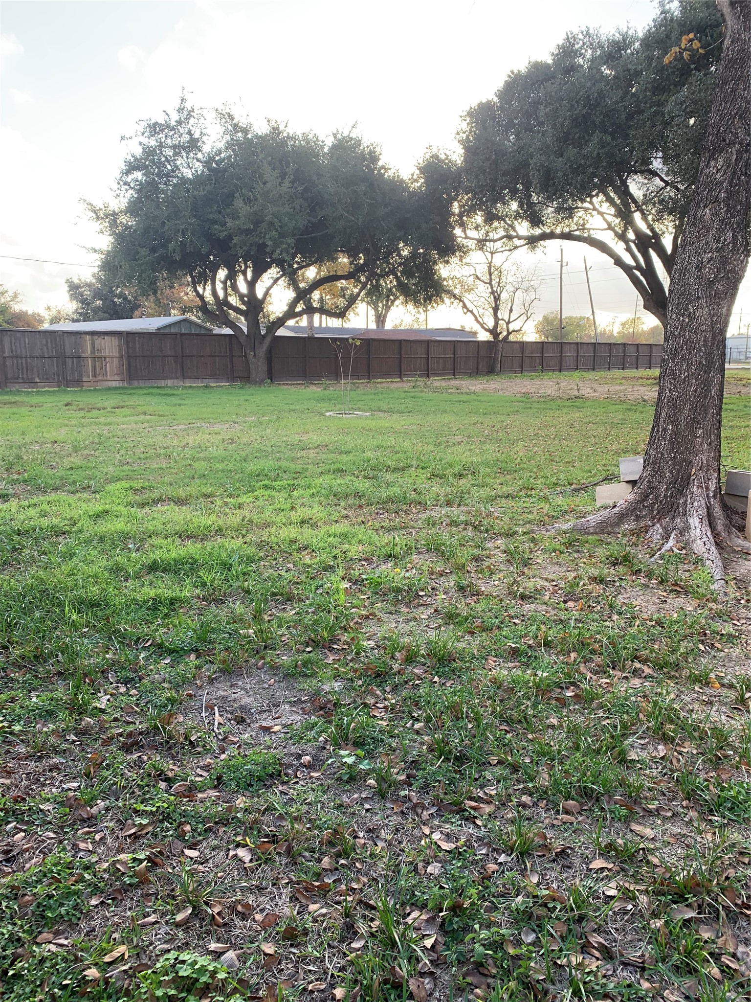 7702 Fairview Street Houston, TX 77041 - Photo 9 of 10 a view of a garden with trees