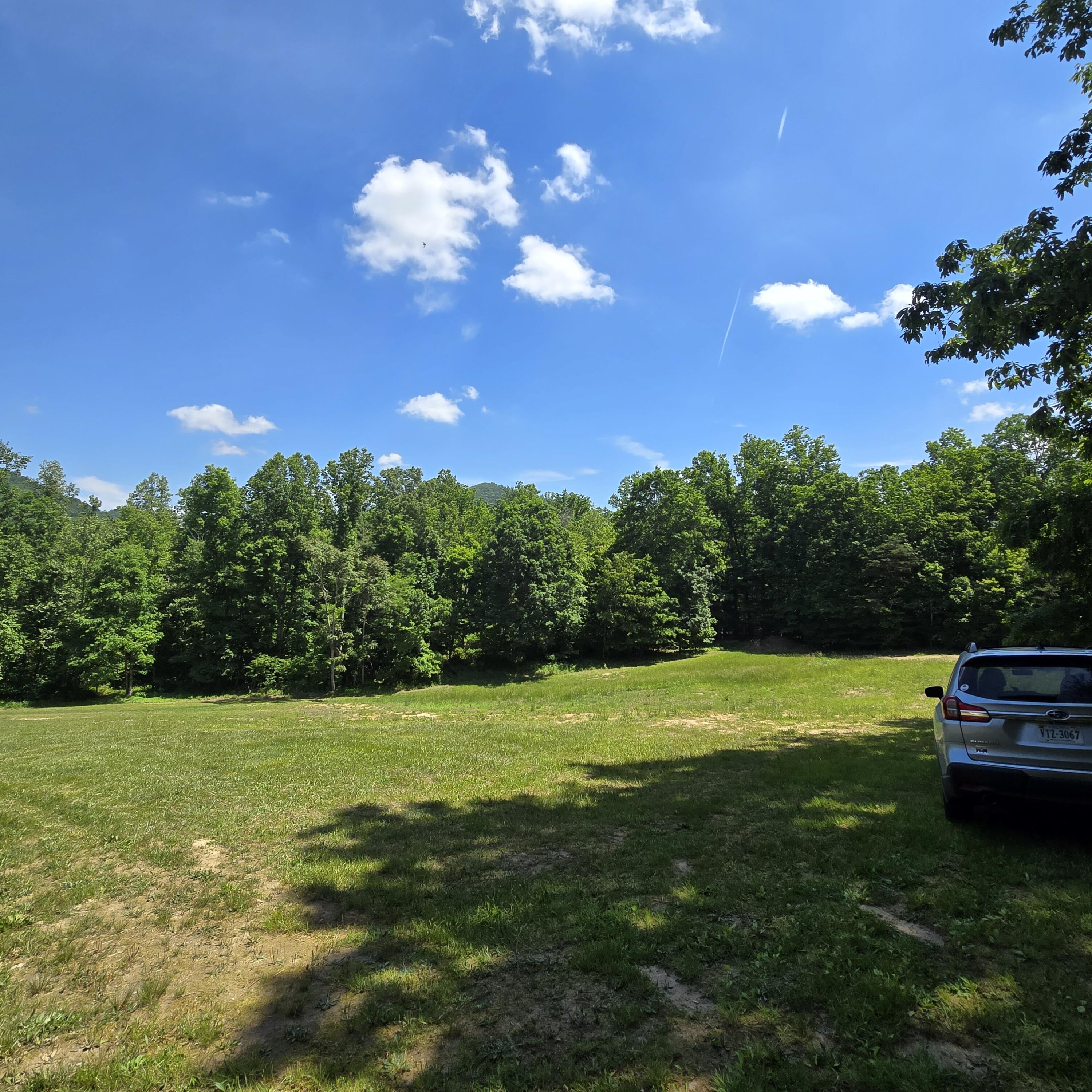 2370 Miles Road Shawsville, VA 24162 - Photo 54 of 60 20240522_115048