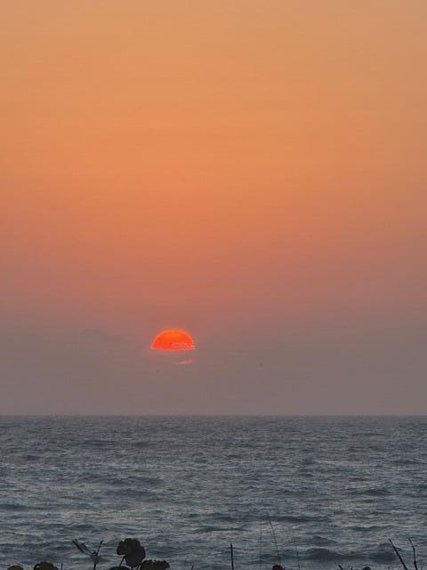 12376 Florida A1A Vero Beach, FL 32963 - Photo 84 of 92 IMG_0437