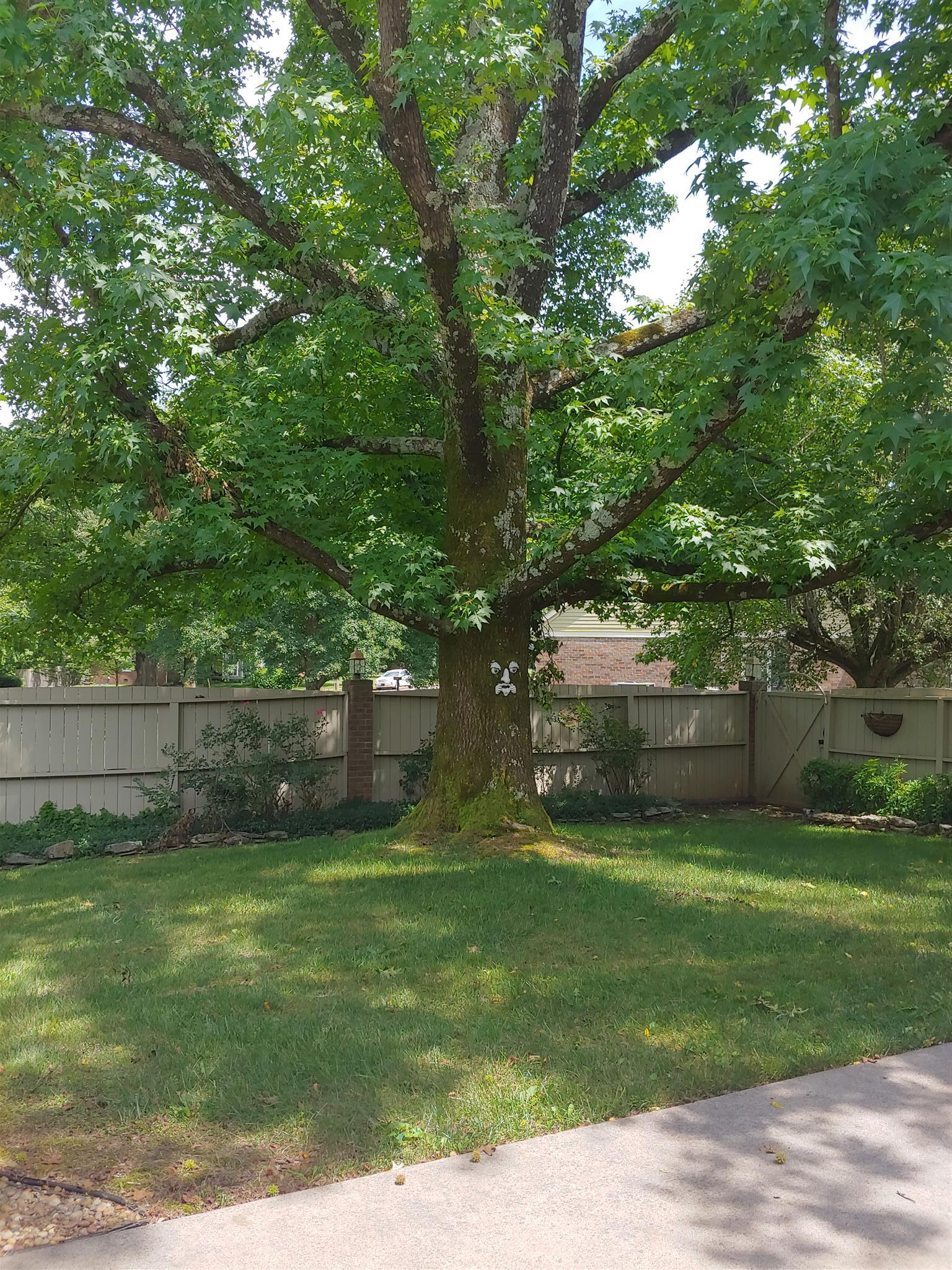 718 North Rutherford Boulevard Murfreesboro, TN 37130 - Photo 29 of 30 Private back yard fenced in with lighted brick fence posts.