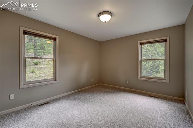 10070 Wildwood Road Cascade, CO 80809 - Photo 16 of 47 Gallery Image 16