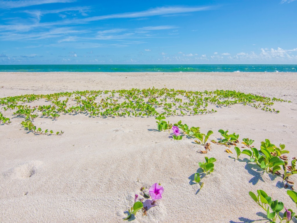 980 Clipper Road Vero Beach, FL 32963 - Photo 31 of 36