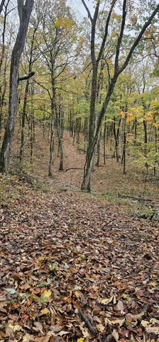 a green field with lots of bushes