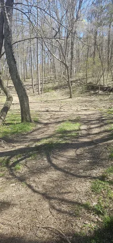 a view of outdoor space with trees