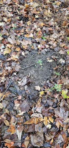 a view of empty space with a street