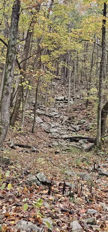 a view of a painting