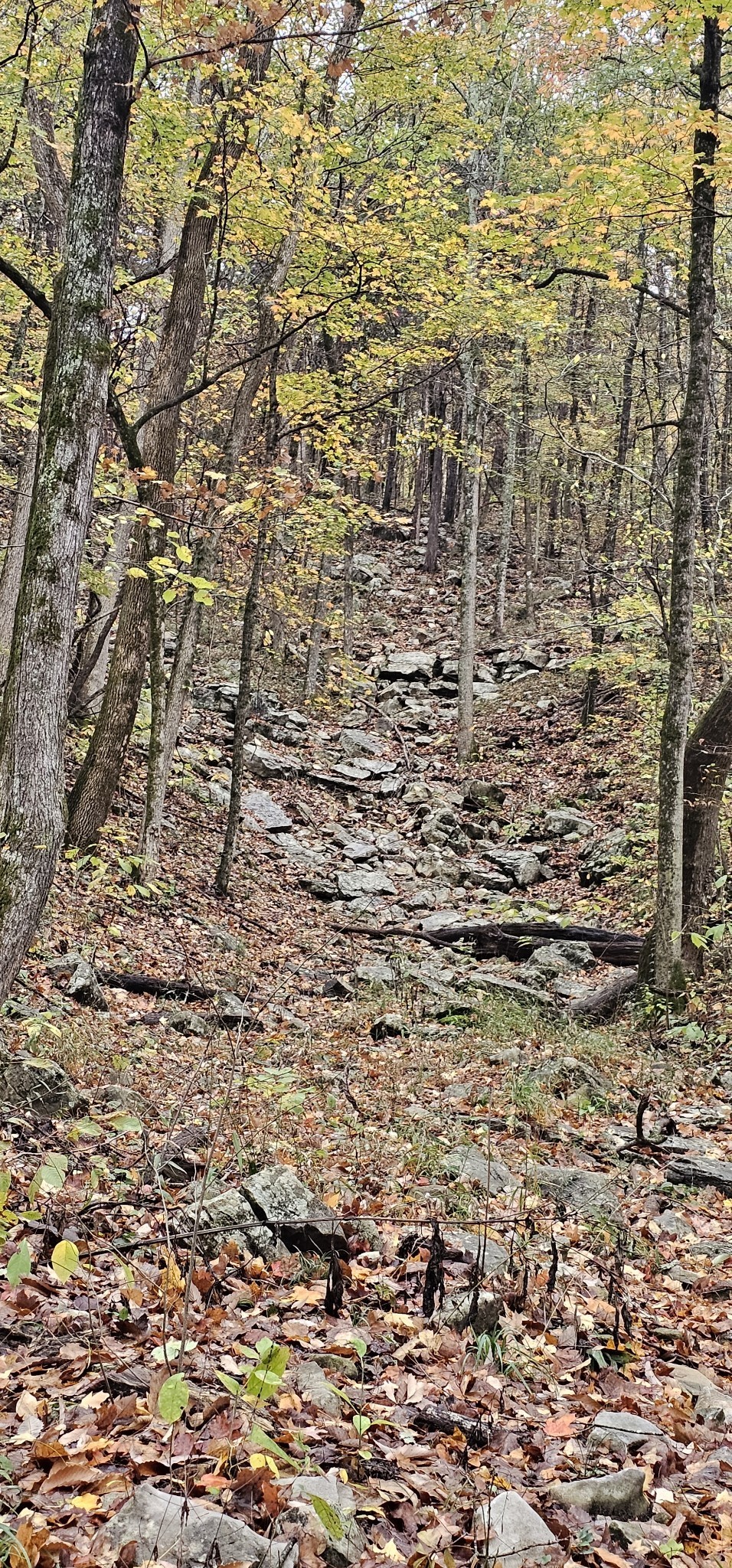 0 Hills Trace Road Morrison, TN 37357 - Photo 10 of 17 a view of a pathway
