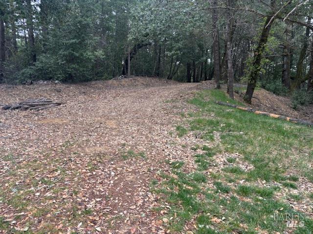 17707 Rockpile Road Geyserville, CA 95441 - Photo 7 of 22 a big yard with lots of green space and deers