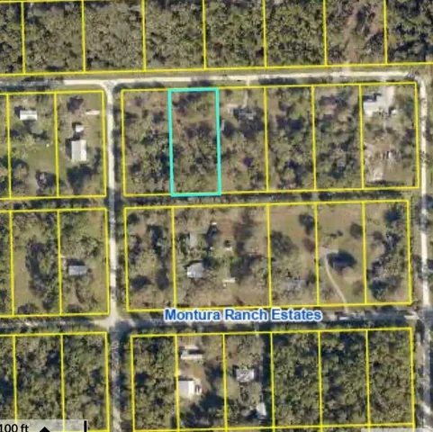 a view of a glass door with a tree