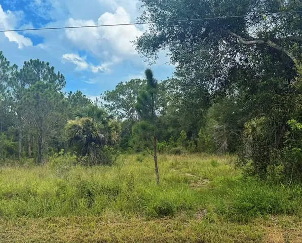 a view of a yard with a tree