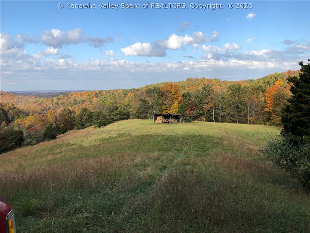 32-3 Long Hollow Road Letart, WV 25253 - Photo 1 of 19 Gallery Image 1