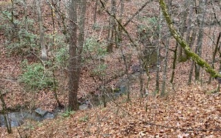 L771 Naomi Court Ranger, GA 30734 - Photo 2 of 4 Additional View