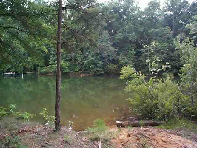 Lot #5 Rochester Road Townville, SC 29689 - Photo 2 of 2 Gallery Image 2