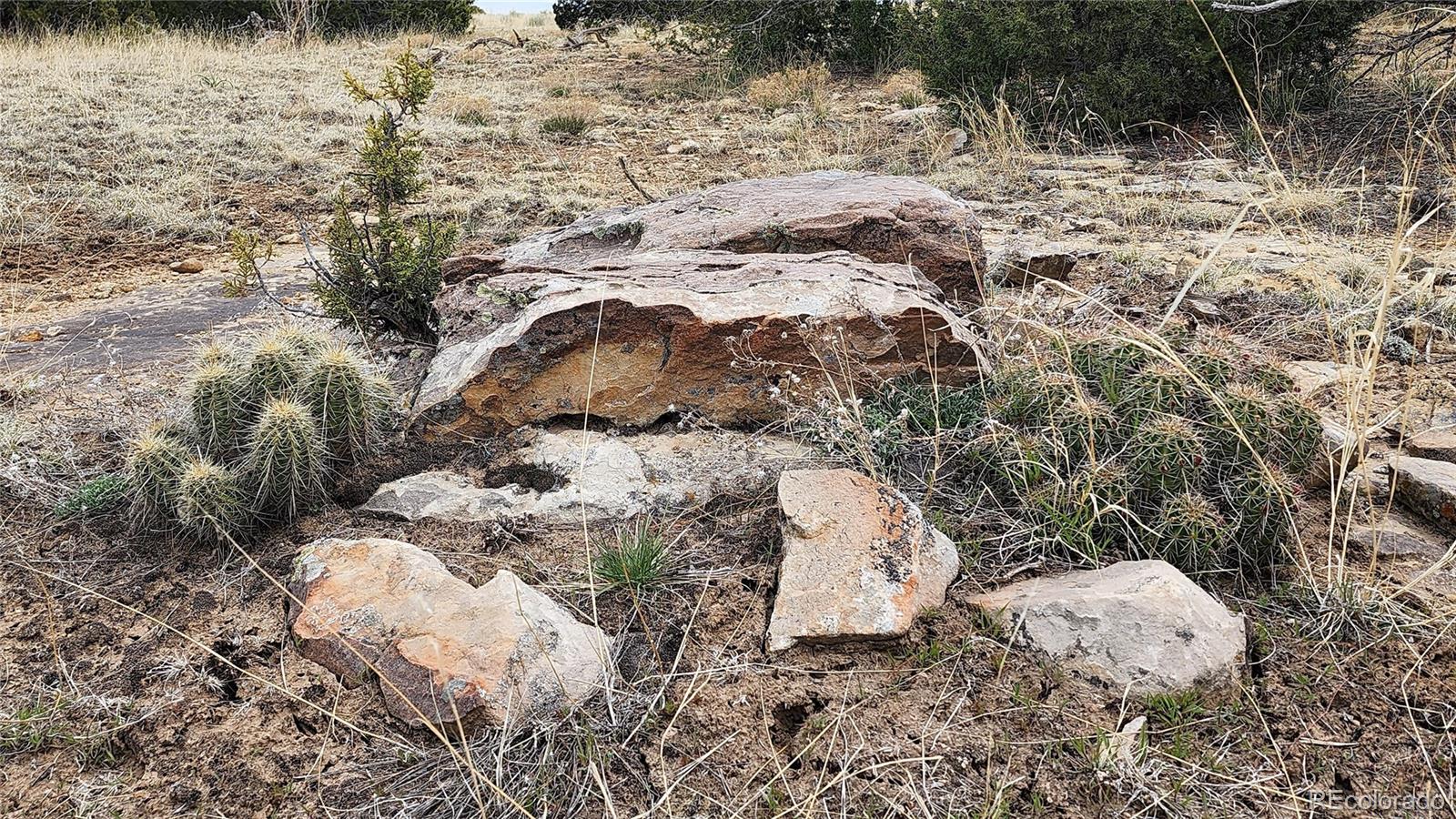 Lot 72 Turkey Ridge Ranch Walsenburg, CO 81089 - Photo 8 of 40