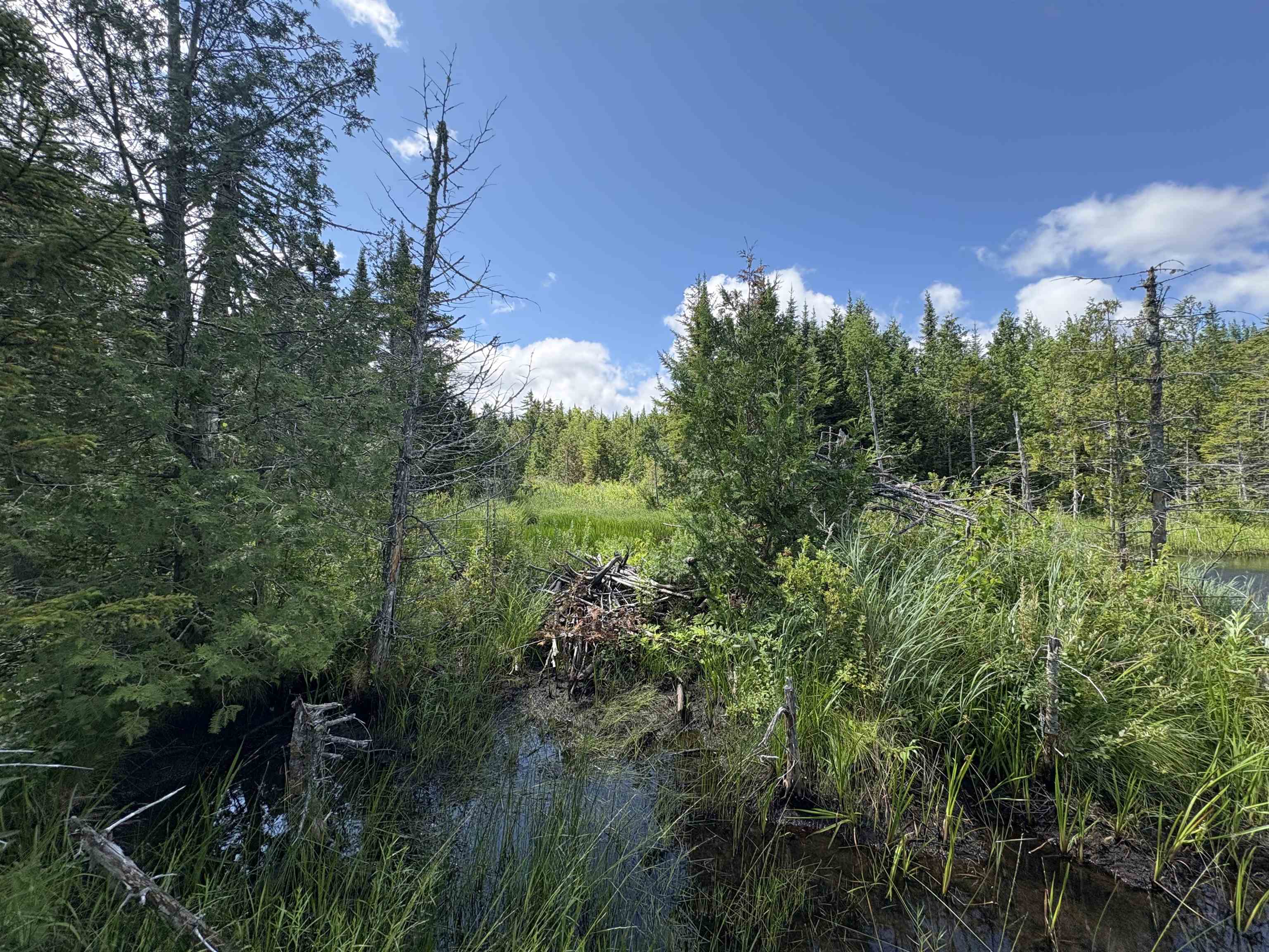 0 Newark Road Island Pond, VT 05846 - Photo 20 of 24