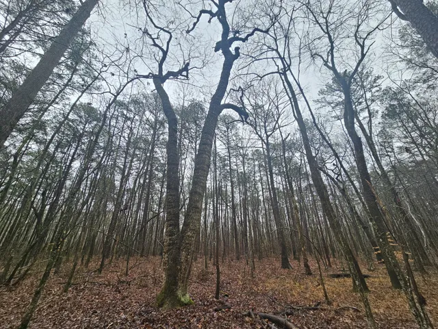 a view of outdoor space with a wooden fence