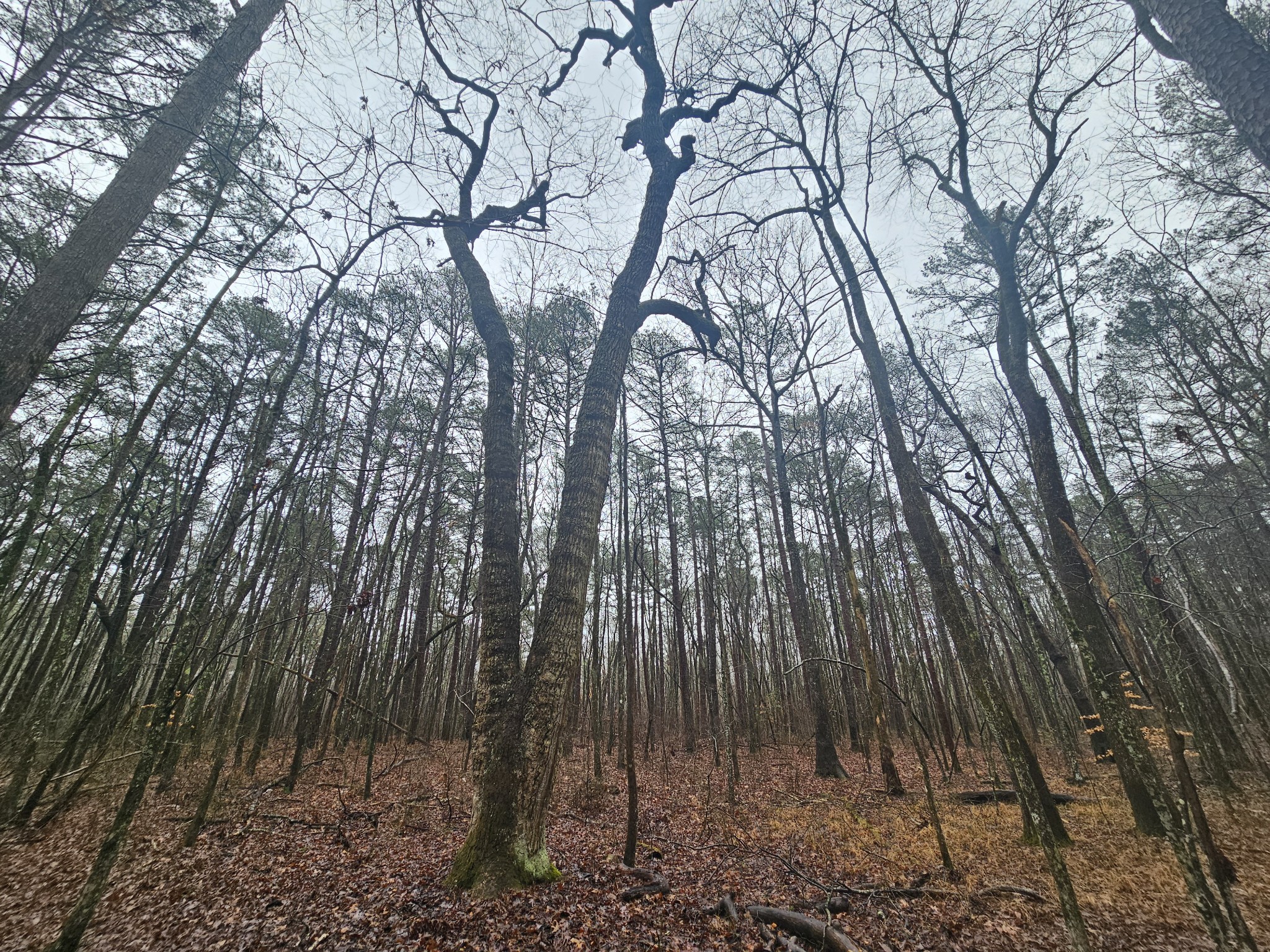 16 Highway 150 Sequatchie, TN 37374 - Photo 11 of 15