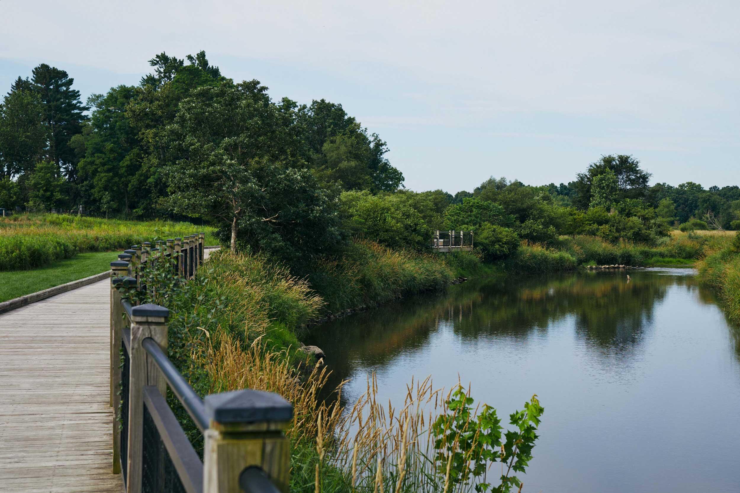 8180 Main Street, Unit 103 Dexter, MI 48130 - Photo 16 of 17 1Y5A7606_web
