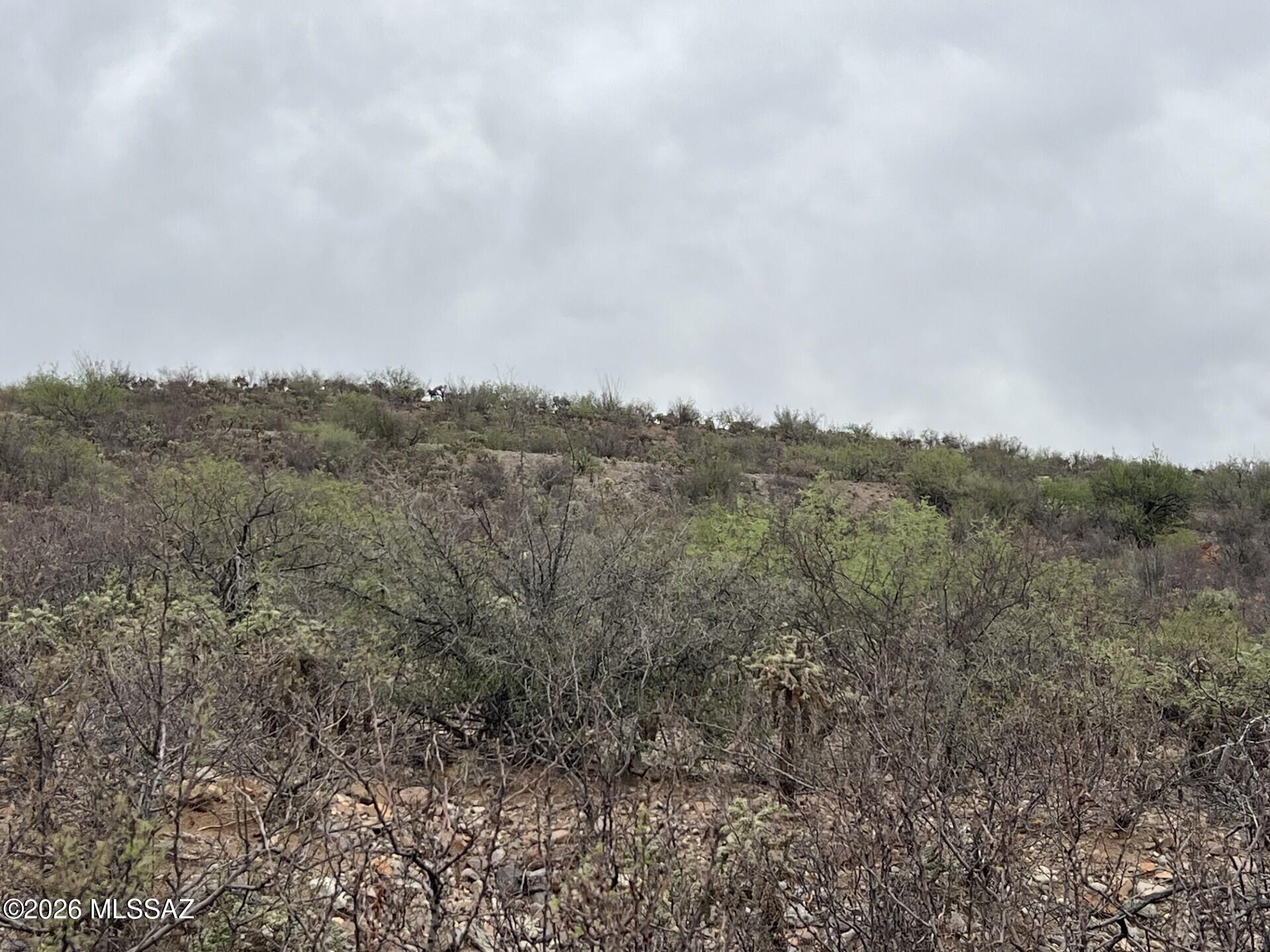 1835 Camino China, Unit 3 Rio Rico, AZ 85648 - Photo 10 of 19 a24b3fd7-472b-423e-bf8e-f55df93c0155