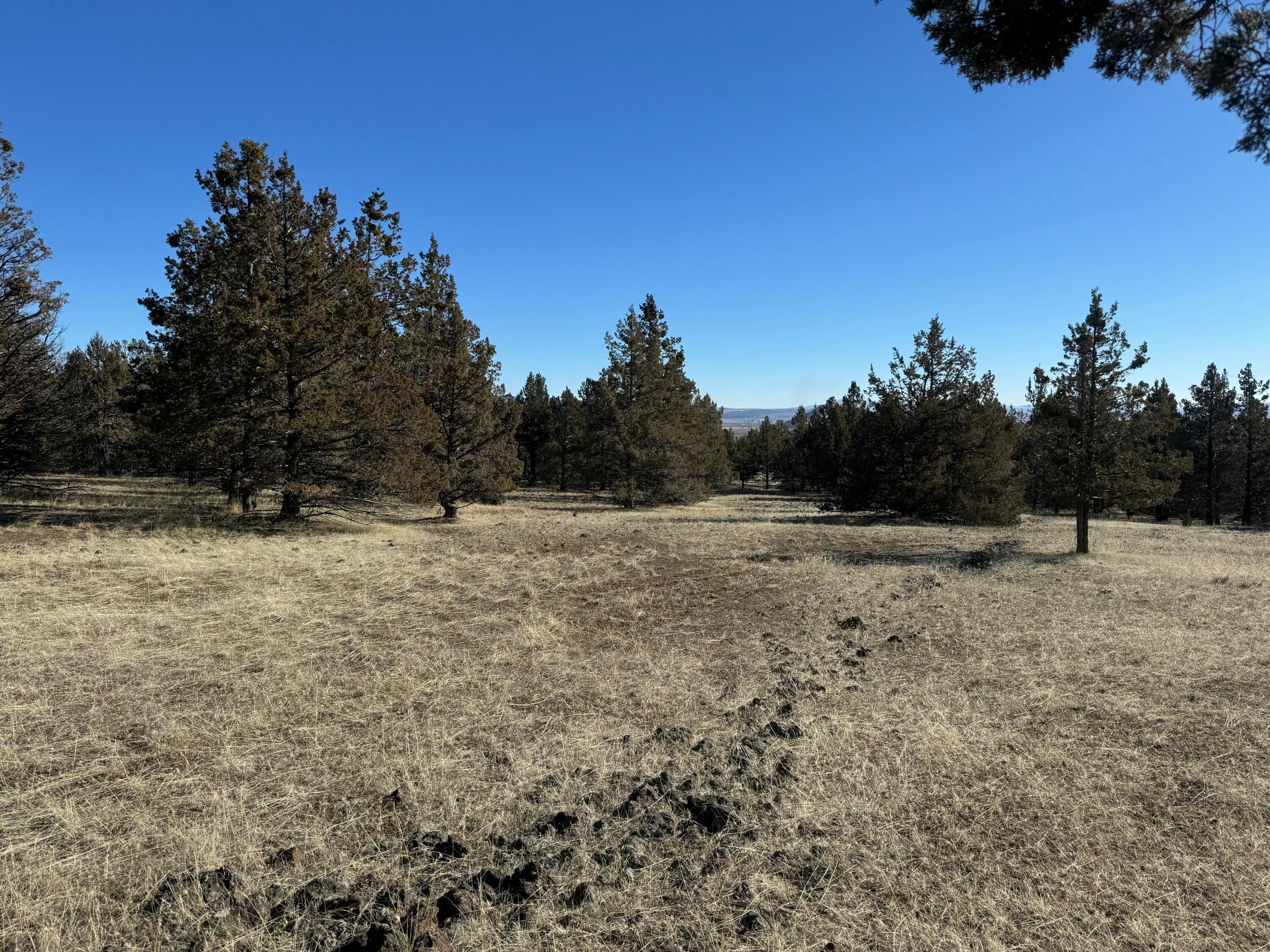 0 Harpold Road, Unit 627398 Malin, OR 97632 - Photo 3 of 10 tempImageVFCuXb