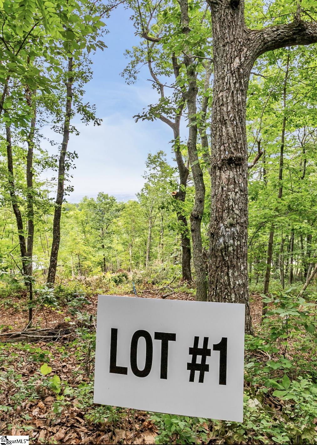 1321 Altamont Road Greenville, SC 29609 - Photo 3 of 5