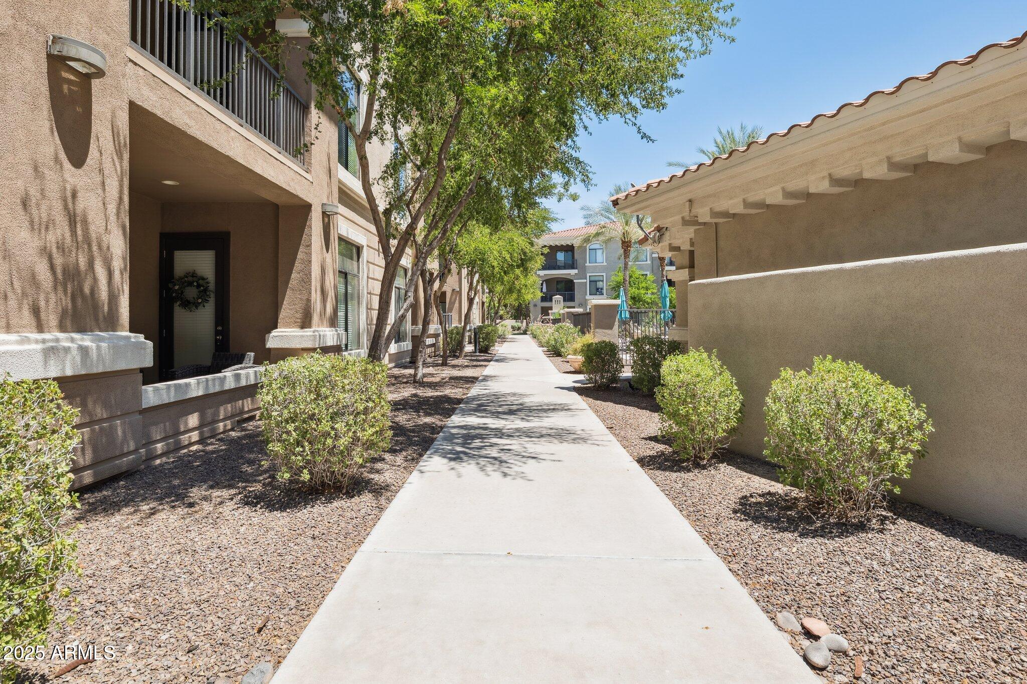 11640 North Tatum Boulevard, Unit 2079 Phoenix, AZ 85028 - Photo 36 of 48 a view of a backyard with potted plants