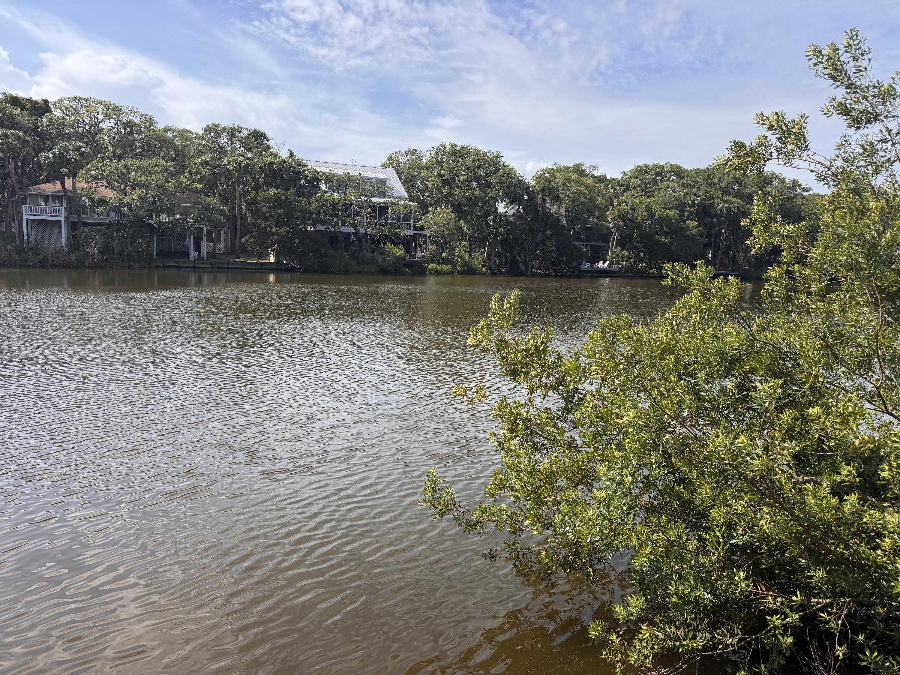 705 Sandpiper Ridge Edisto Island, SC 29438 - Photo 2 of 57 1a