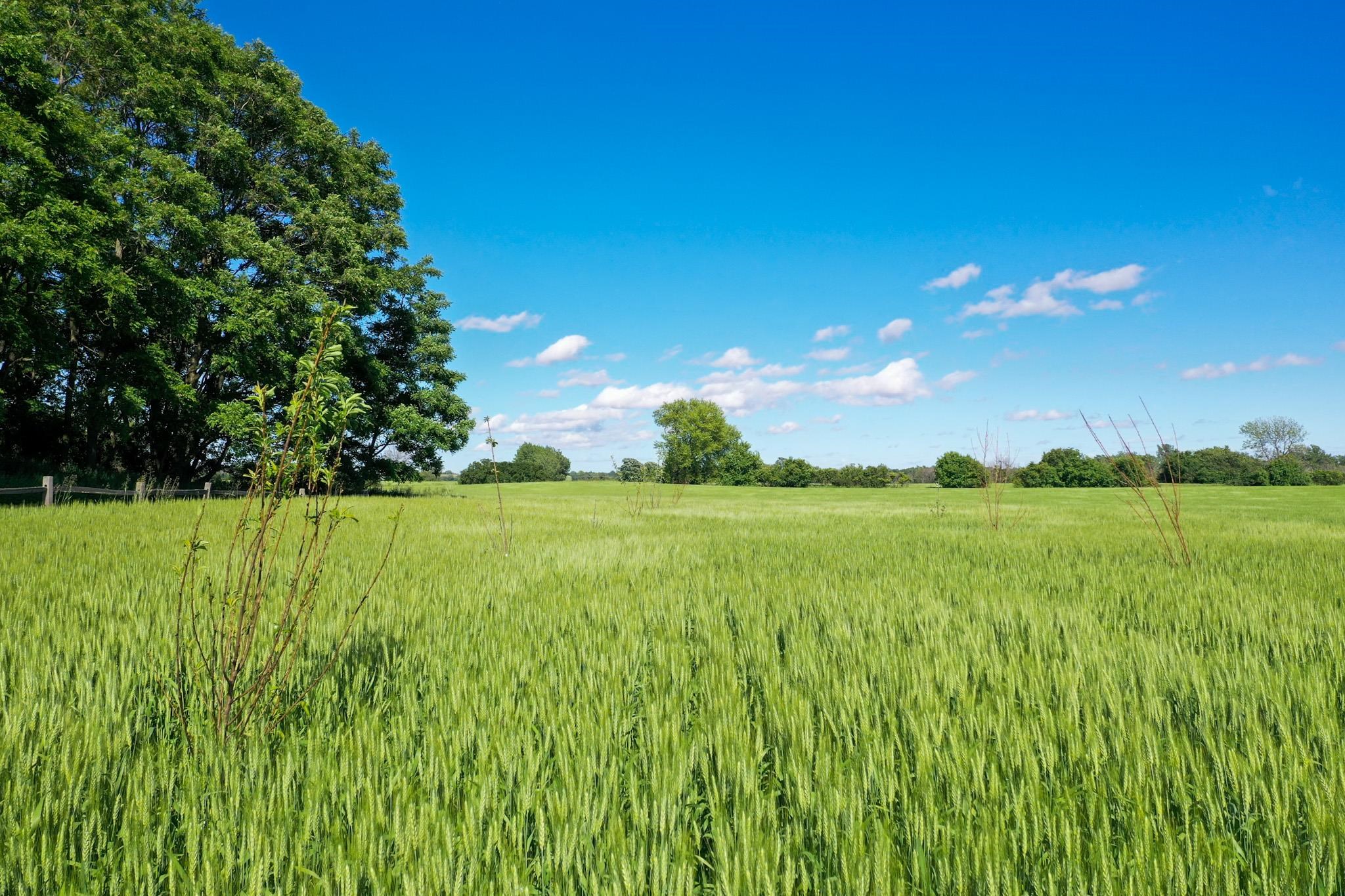 Bay Settlement Road Green Bay, WI 54311 - Photo 2 of 7
