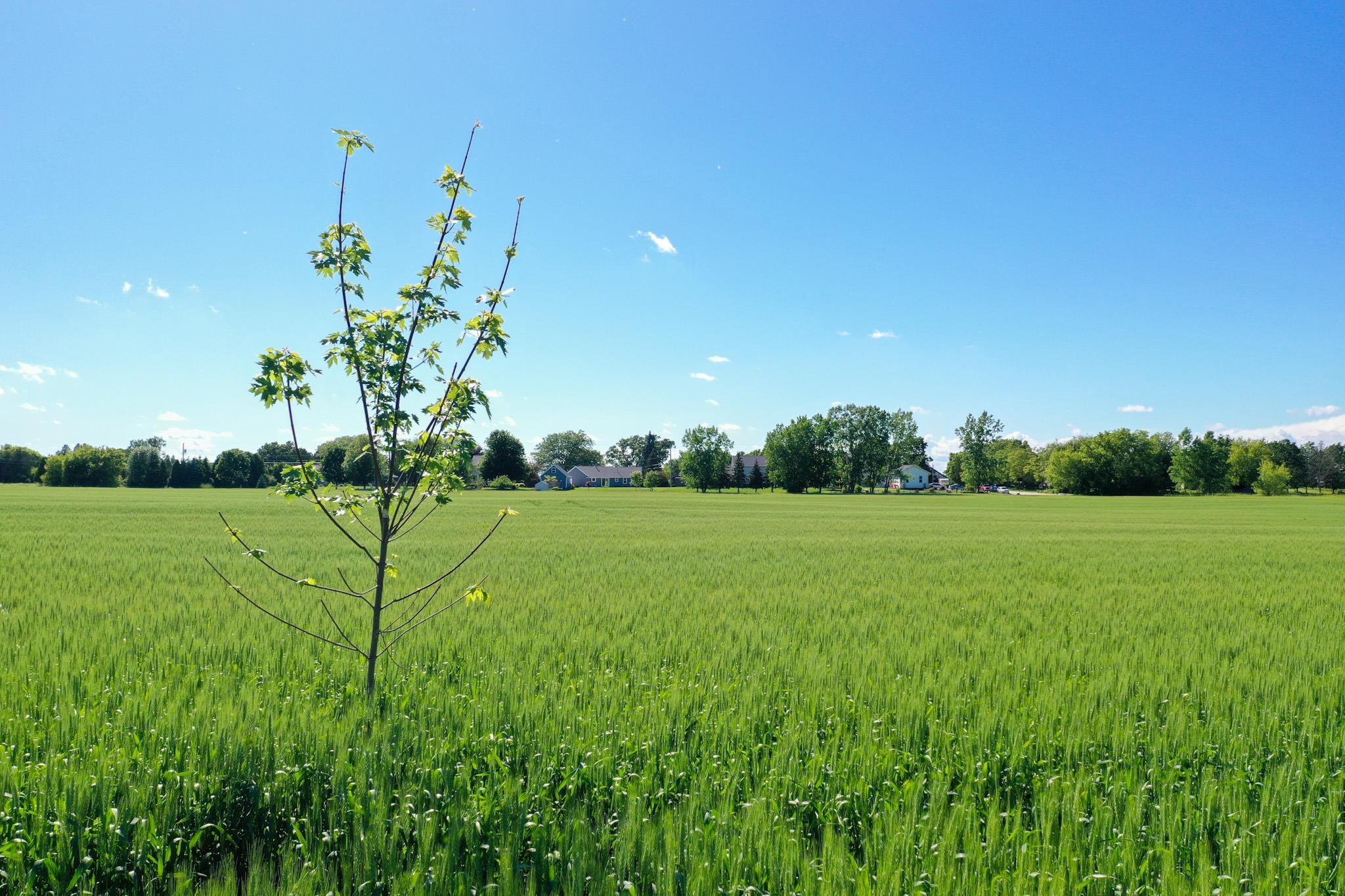 Bay Settlement Road Green Bay, WI 54311 - Photo 3 of 7