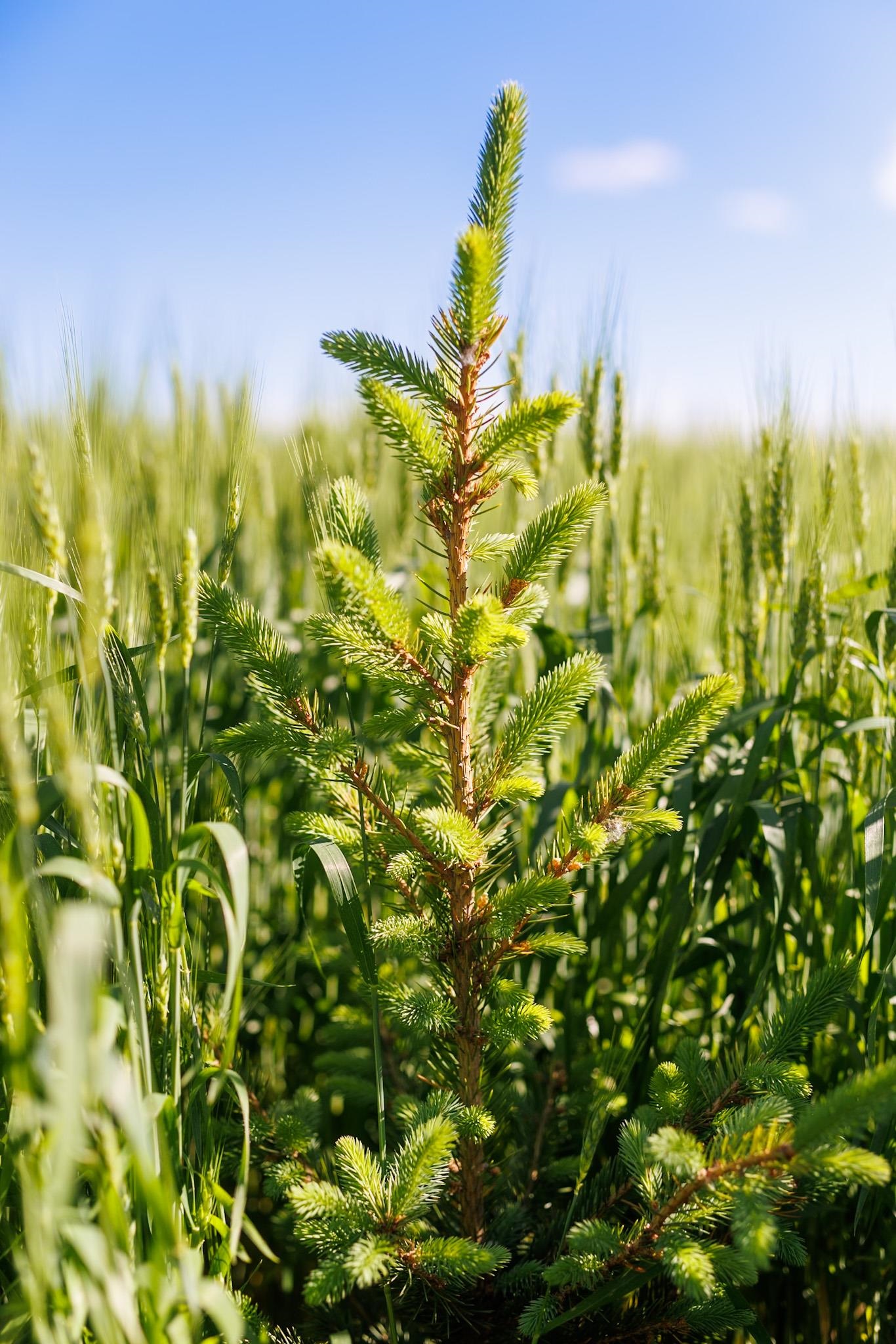 Bay Settlement Road Green Bay, WI 54311 - Photo 4 of 7