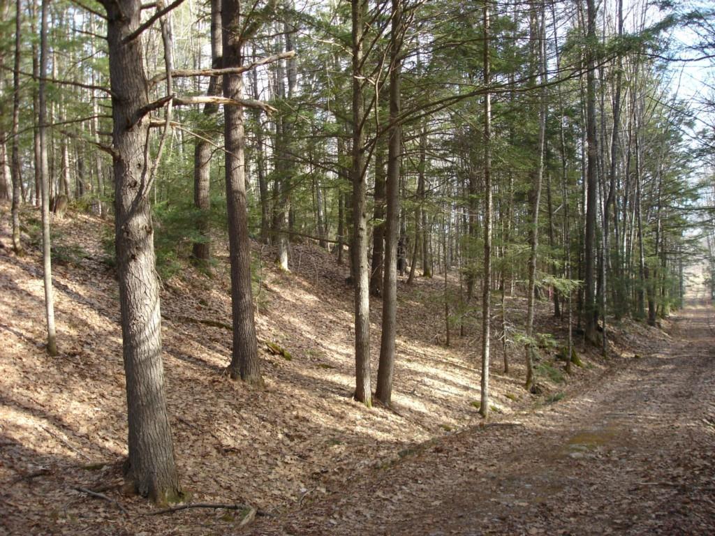 0 Buzzell Road Biddeford, ME 04005 - Photo 6 of 10 Photo