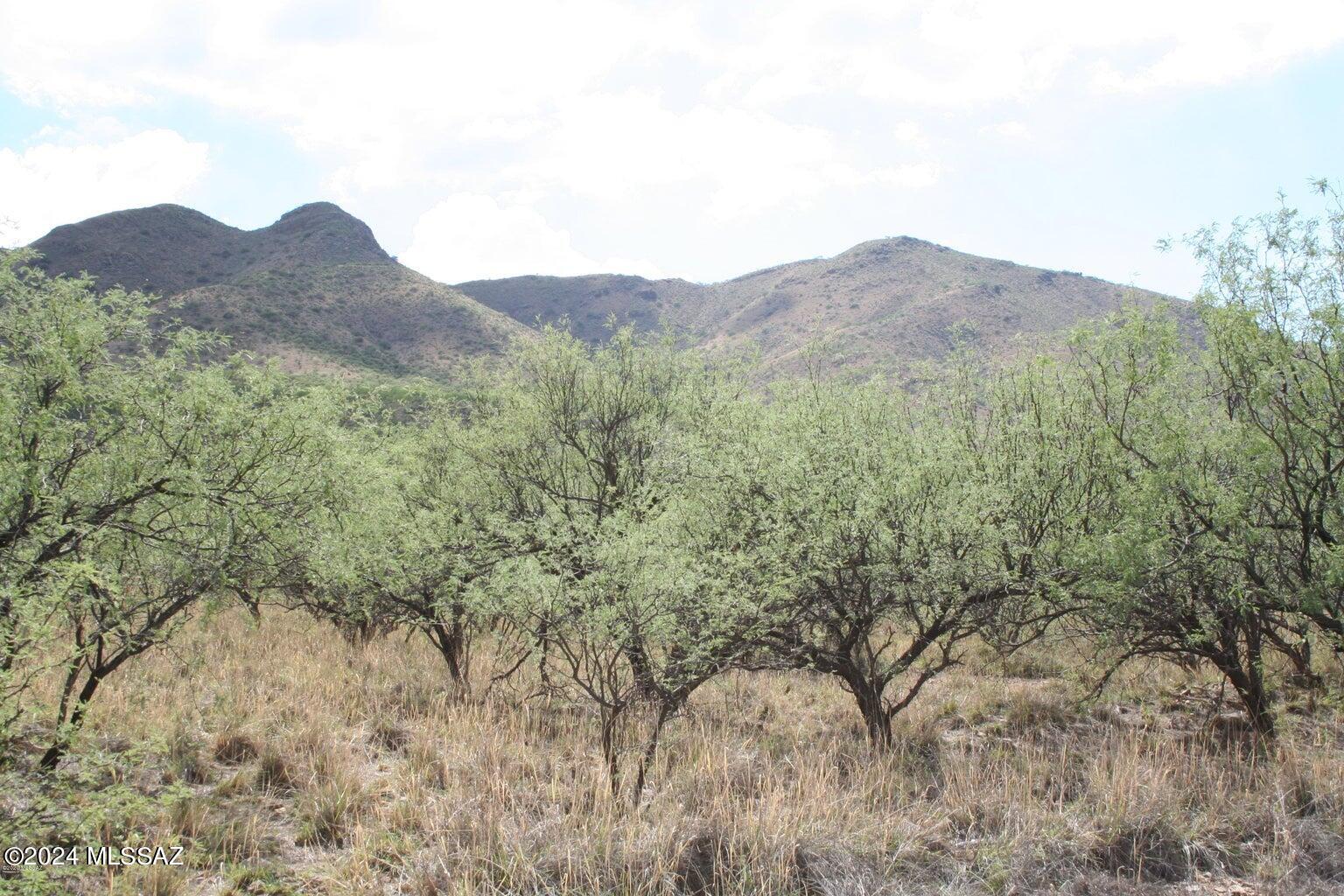 80 Morning Star Drive Rio Rico, AZ 85648 - Photo 15 of 30
