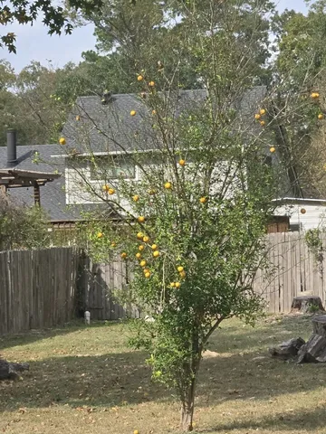 $1,750 | 254 Maple Lane, Conroe, TX 77304