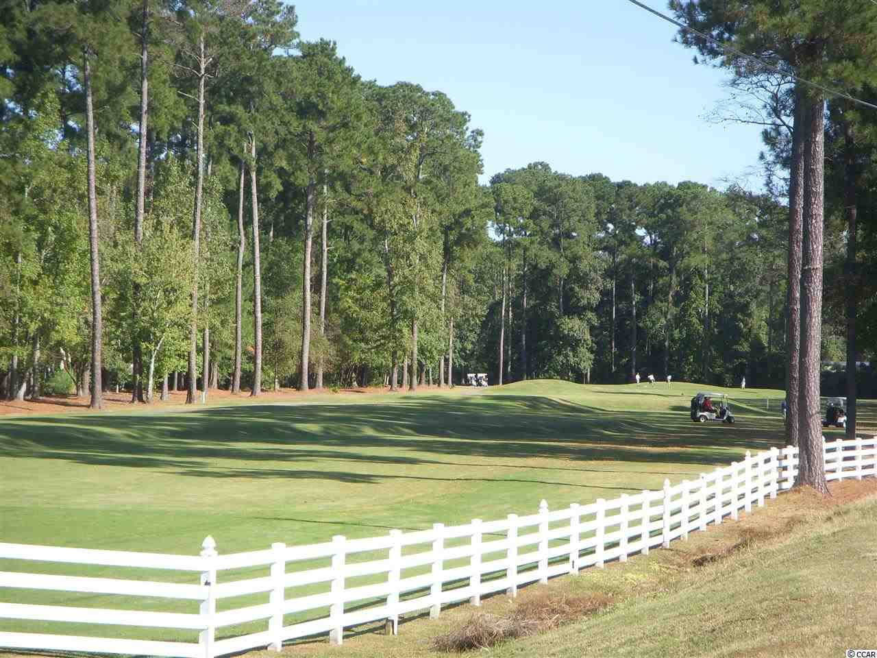 300 Deer Path Drive Murrells Inlet, SC 29576 - Photo 13 of 22 Gallery Image 13
