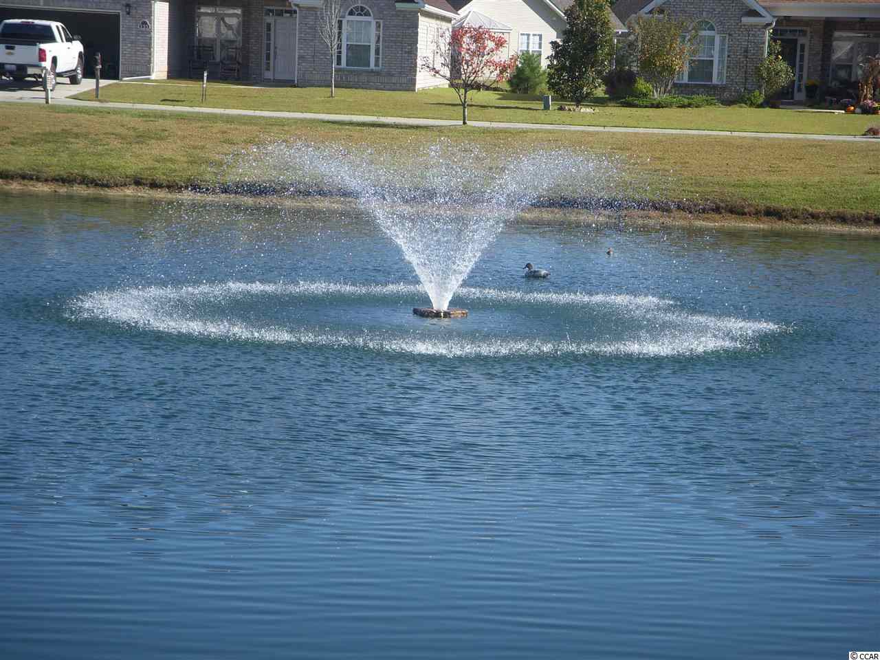 300 Deer Path Drive Murrells Inlet, SC 29576 - Photo 14 of 22 Gallery Image 14