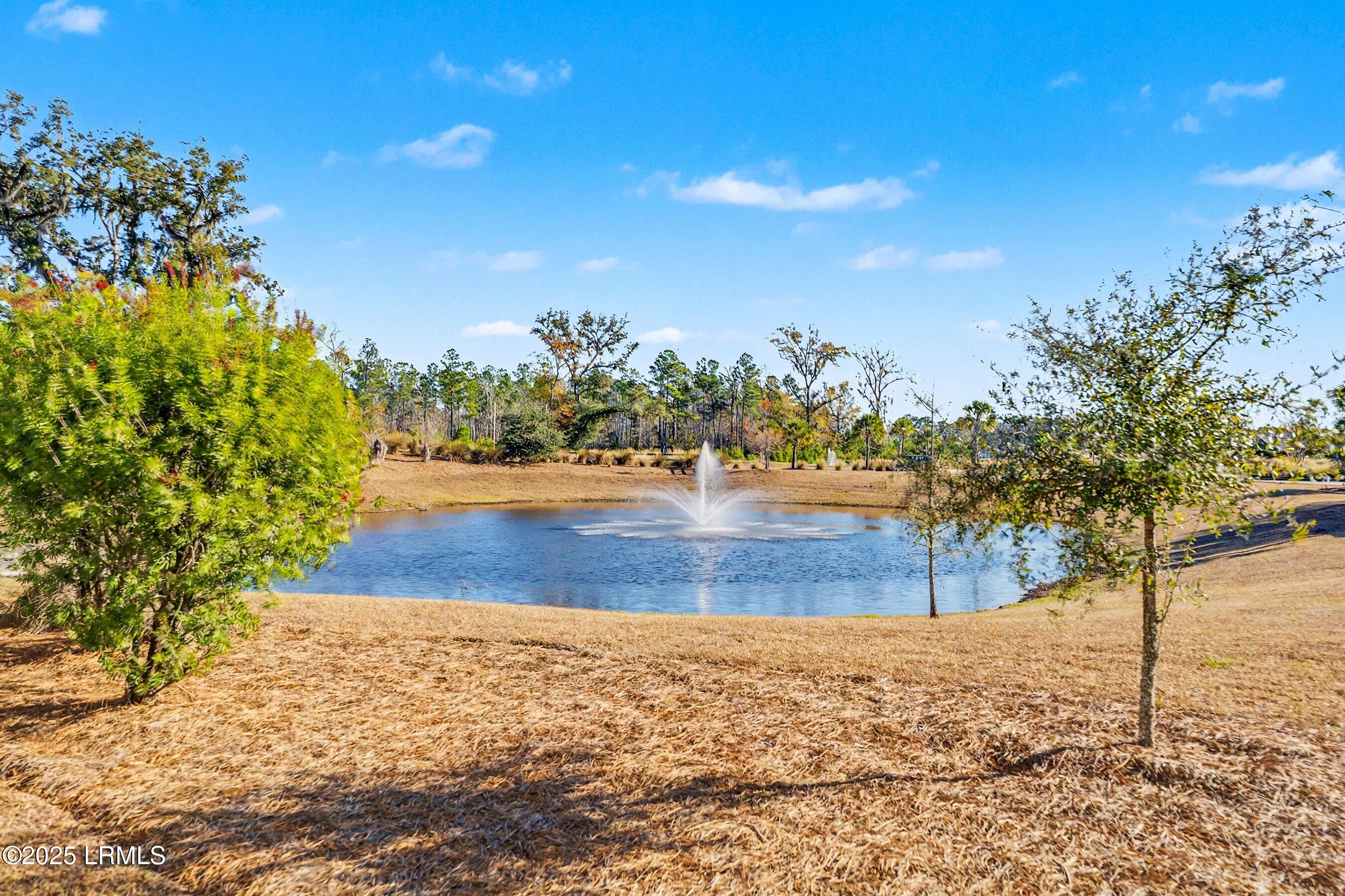 432 Hulston Landing Road Okatie, SC 29909 - Photo 49 of 57 DSC09222-325-1.jpg-SMALL