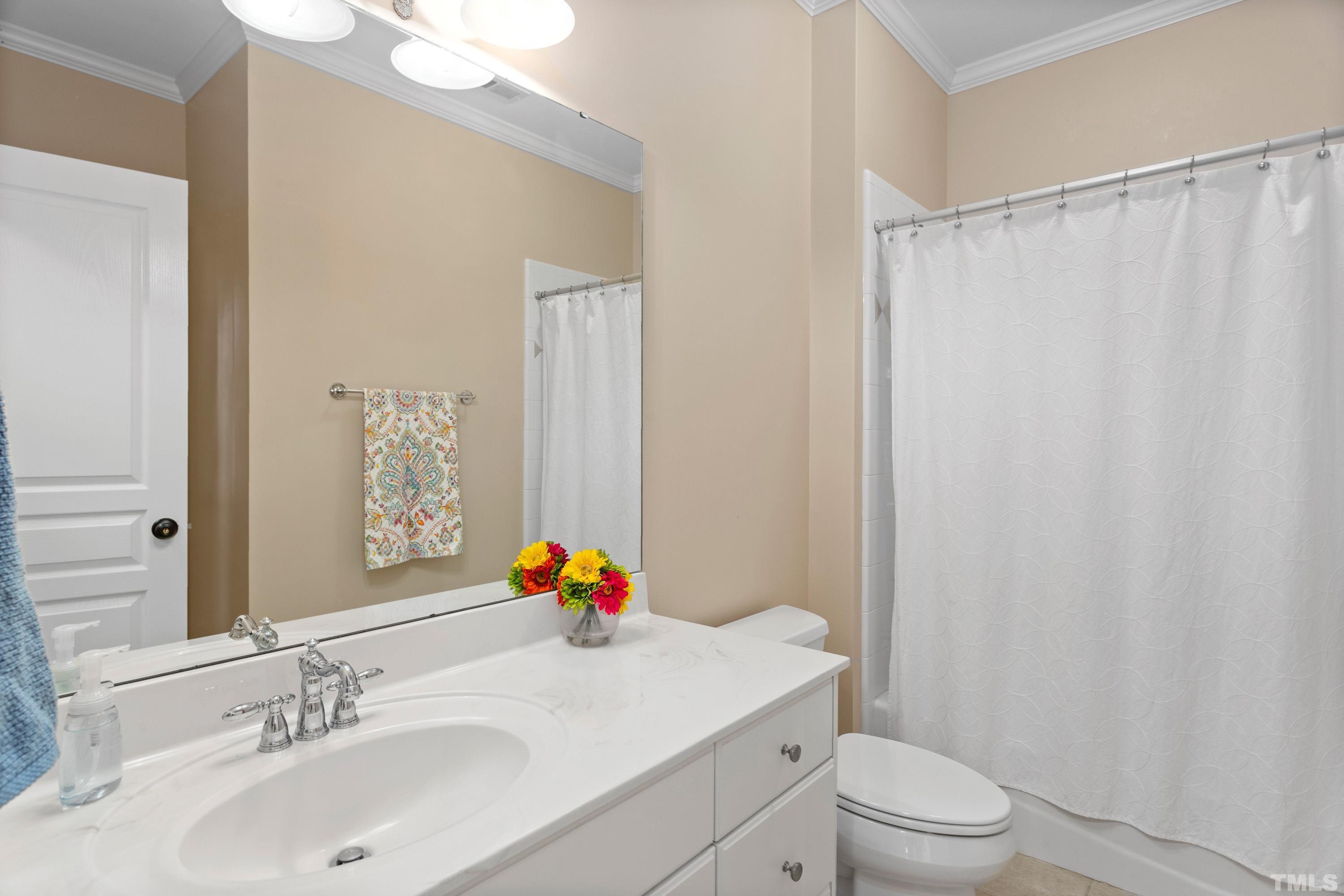 4324 Summer Brook Drive Apex, NC 27539 - Photo 31 of 70 a bathroom with a sink a toilet and shower curtain
